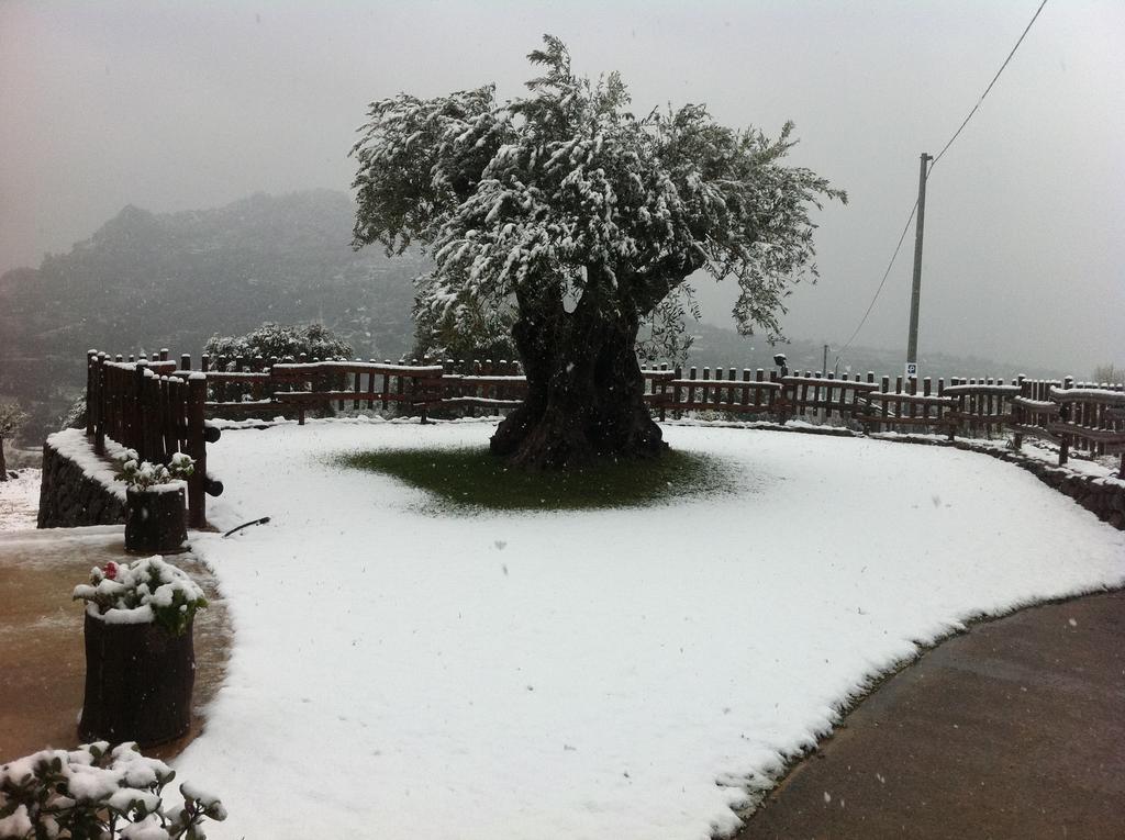 Turismo Rurale Belvedere Pradonos ดอร์กาลี ภายนอก รูปภาพ